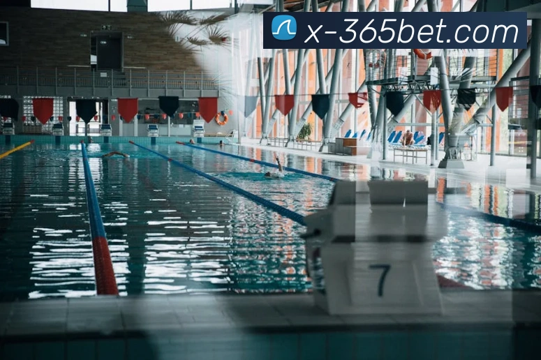 365bet平台生态图